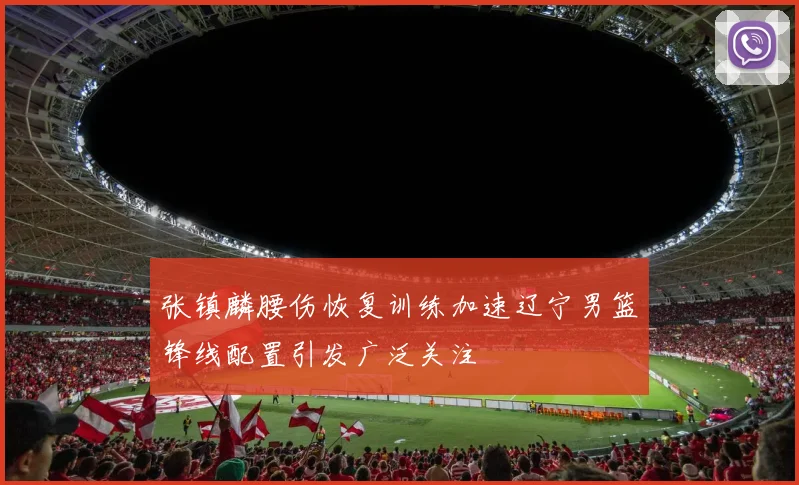 张镇麟腰伤恢复训练加速辽宁男篮锋线配置引发广泛关注